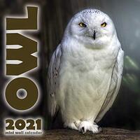 The Owl 2021 Mini Wall Calendar