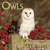 Owl Calendar - Cute Animal Calendar - Calendars 2016 - 2017 Wall Calendars - Animal Calendar - Owls 