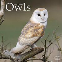 Owl Calendar - Cute Animal Calendar - Calendars 2019 - 2020 Wall Calendars - Animal Calendar - Owls 