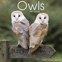Owl Calendar - Cute Animal Calendar - Calendars 2020 - 2021 Wall Calendars - Animal Calendar - Owls 