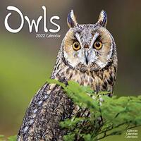 Owl Calendar - Cute Animal Calendar - Calendars 2021 - 2022 Wall Calendars - Animal Calendar - Owls 16 Month Wall Calendar by Avonside