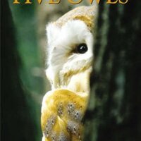 Trevor Beer's Five Owls