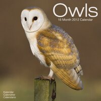 Owls 2012