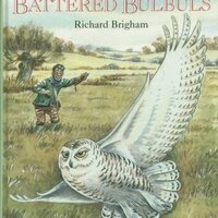 Snowy Owls & Battered Bulbuls