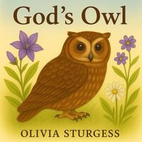 God's Owl