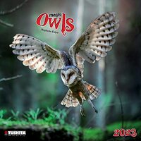 Magic Owls 2023: Kalender 2023