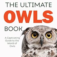 Owls The Ultimate Book: A Captivating Guide to the World of Owls (Animal Books for Kids)