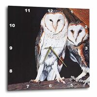 3dRose LLC Barn Owls Wall Clock, 10 by 10-Inch