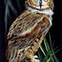How-to Painting Packet Mr. Owl