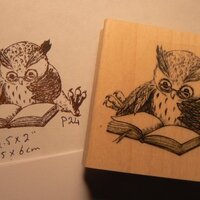 P27 Small Reading owl Rubber Stamp WM