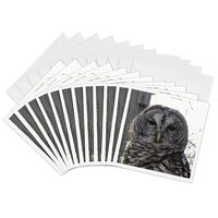 3dRose Barred Owl - Greeting Cards, 6 x 6 inches, set of 12 (gc_21162_2)