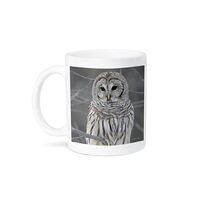 3dRose mug_21195_2 Barred Owl Ceramic Mug, 15-Ounce