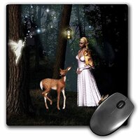 3dRose LLC 8 X 8 X 0.25 Inches Beautiful Elf with Fairy Deer Owl and Rabbit in Forest Mouse Pad (mp_