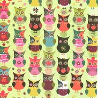 Owls Flat Gift Wrapping Paper 2 Sheets 19.5 in x 27.5 in