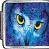 Clearly Charming Owl Italian Charm Bracelet Link