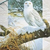 Pumpernickel Press Embossed Christmas Greeting Cards Boxed Set – “Snowy Owl” Desig