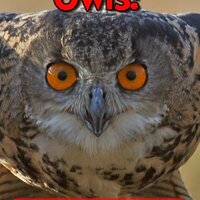 Owls! Learn About Owls and Enjoy Colorful Pictures - Look and Learn! (50+ Photos of Owls)