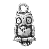 Sterling Silver Mini Owl With Large Eyes Sitting On Branch Charm