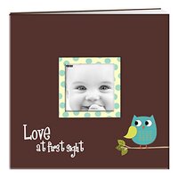 Pioneer Baby Owl Printed Design Post Bound Scrapbook Album 12"X12"-Blue