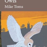 Owls (Collins New Naturalist Library, Book 125)
