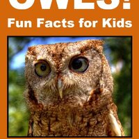 Owls! Fun Facts for Kids - An Owl Picture Book of the Snowy Owl, Great Horned Owl, Burrowing Owl, Sc