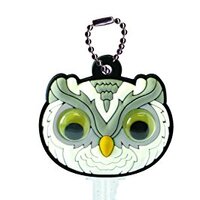 This Owl Key Holder Key Ring