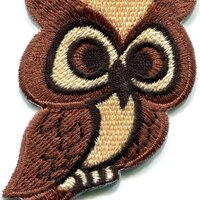 Owl Bird of Prey Hoot Animal Wildlife Applique Iron-on Patch New S-681 Handmade Design From Thailand