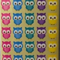 Owl Stickers ~ 4 Sheets ~ 5 Colors of Adorable Owls ~ 120 Stickers ~ Hoot & Howl