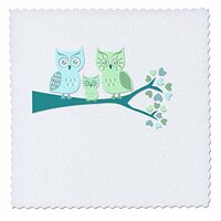 3dRose qs_128533_7 Cute Owl Family with Baby Boy Blue and Green Quilt Square, 18 by 18-Inch