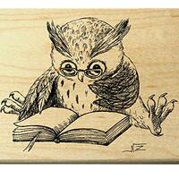 P27 Reading owl - Large Rubber Stamp
