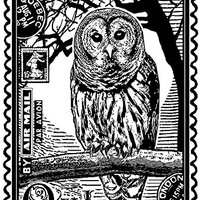 Crafty Individuals unmounted Rubber Stamp - airmail owl - CI-225