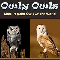 Owly Owls Most Popular Owls Of The World: Fun Facts and Pictures for Kids