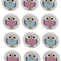 12 Owl Bird Gender Reveal Girl Pink Boy Blue Shower Favors 1.25" Pinback Buttons