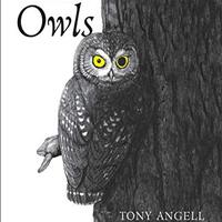 The House of Owls: Democracy and the Armed Society