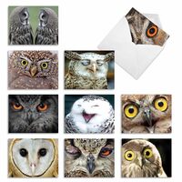 The Best Card Company - Boxed Set of 10 Bird Thank You Notecards with Envelopes 4 x 5.12 inch, Feath