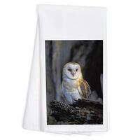 Lantern Press Barn Owl (100% Cotton Tea Towel, Decorative Hand Towel, for Kitchen and Home)