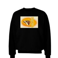 TOOLOUD Watercolor Owl Moth Adult Dark Sweatshirt - Black - XL