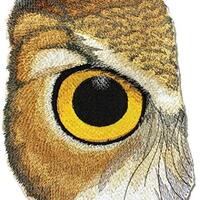 Custom and Unique Eye of Owl Embroidered Iron on/Sew Patch [6.87" *4.63"] [Made in USA]