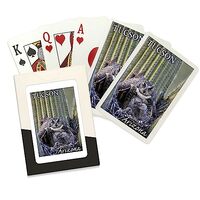 Lantern Press Tucson, Arizona, Owl and Babies (52 Playing Cards, Poker Size Card Deck with Jokers)