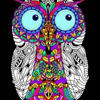 Baby Owl - Fuzzy Coloring Poster for Kids, Toddlers, Kids, Teens and Adults [Beautiful Arts and Craf