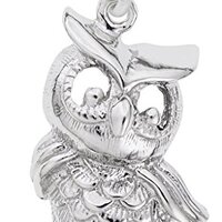 Rembrandt Owl Charm - Metal - Sterling Silver
