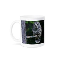 3dRose Coffee Mug, Size - 15oz - Barred Owl, hunting at dusk Owls - funny coffee cup gift