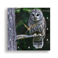 3D Rose Barred Owl-Hunting at Dusk Wall Clock, 13" x 13"