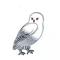 Snowy Owl - White - Arctic - Birds - Embroidered Iron on Patch
