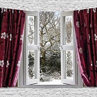 Ambesonne Winter Tapestry, Open Window View to a Snowy Winter Scenery Pattern Drapes Frosty, Wide Wa