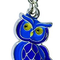 Owl Enamel Dangle Charm