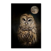 Barred Owl And The Moon by Jai Johnson, 16x24-Inch Canvas Wall Art