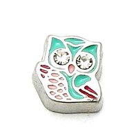 Cherityne Owl with Crystal Eyes Floating Charm for Locket Pendants