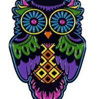 Sugar Skull Owl Enamel Pin