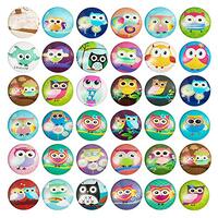 Pandahall About 50pcs/Box Random Mixed Half Round Flat Back Glass Cabochons for Jewelry Making (1 Inch (25mm), Owl Printed)